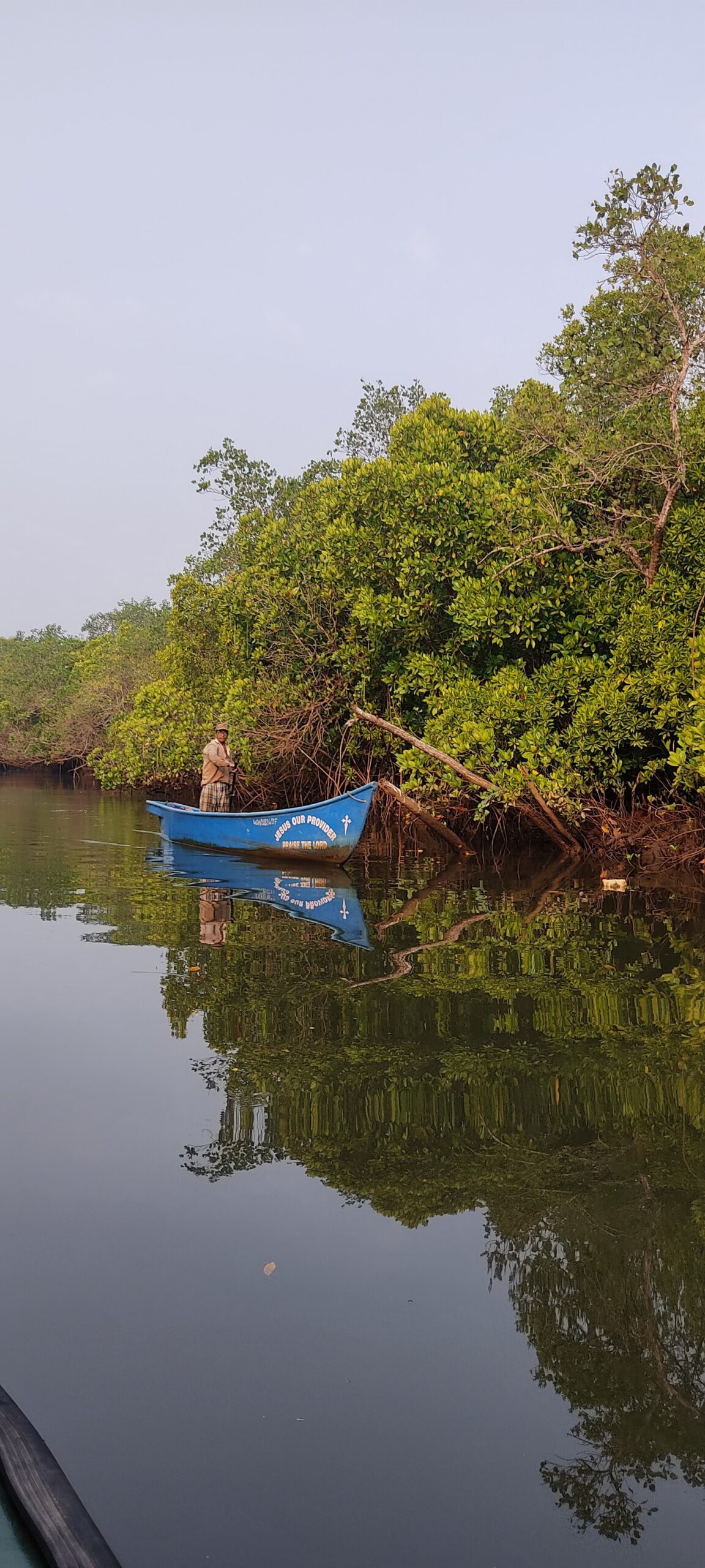 Mangrove Ecology Boat Ride — Canopy By The Coast