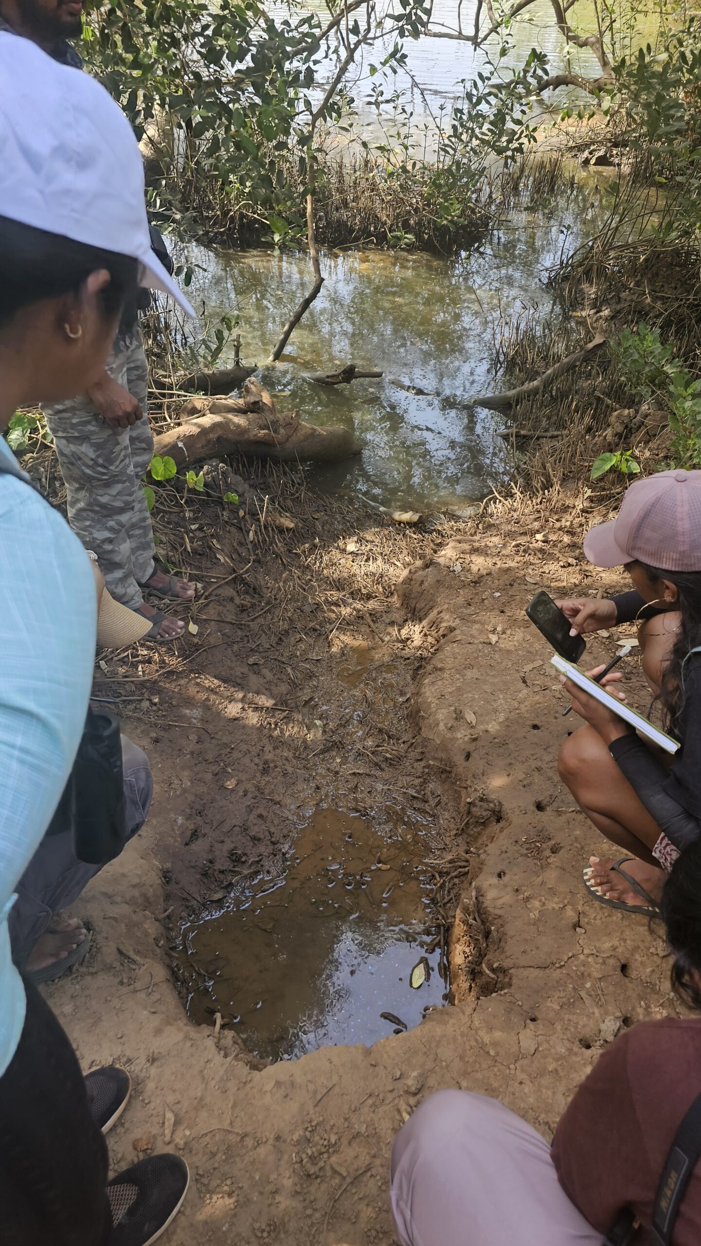 Marine Nature Journaling — Canopy By The Coast