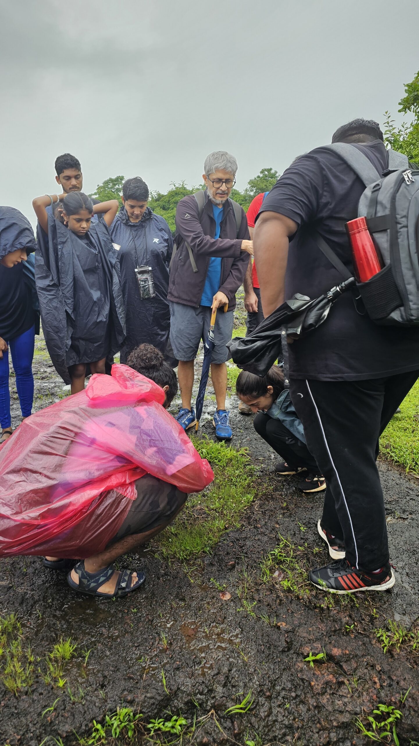 Team Building & Workshops — Canopy By The Coast